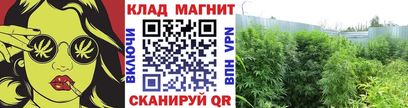 Магазины продажи наркотиков Кологрив АМФ  Кокаин  СОЛЬ  Мефедрон  МАРИХУАНА 