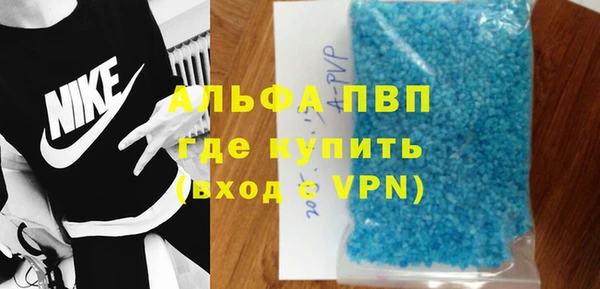 крисы Козельск