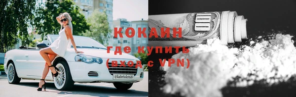 крисы Козельск