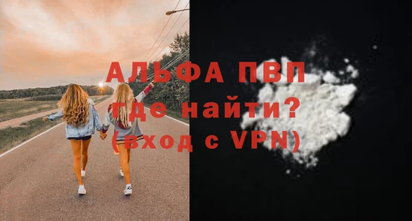 крисы Козельск