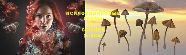прущие крисы Козловка