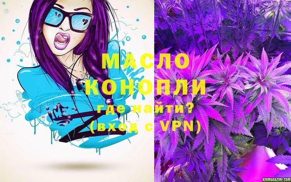 крисы Козельск