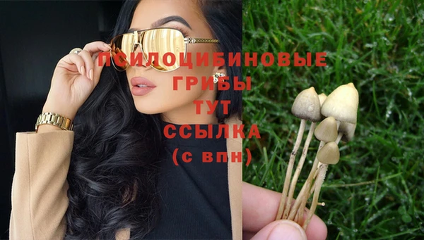 крисы Козельск