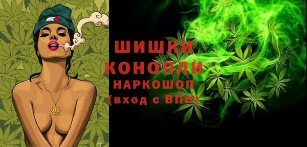 крисы Козельск