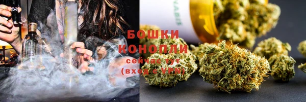 крисы Козельск