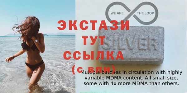 крисы Козельск
